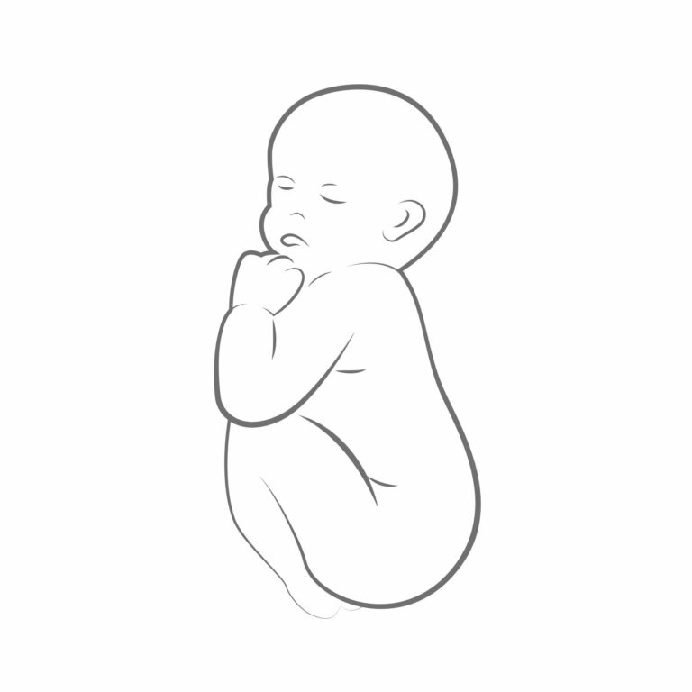 new born baby is sleeping line drawing outlline vector illustration EPS10